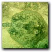 [Click to enlarge image]