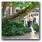 [Click to enlarge image]