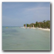 [Click to enlarge image]