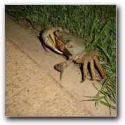 [Click to enlarge image]