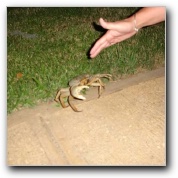 [Click to enlarge image]