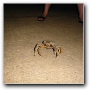 [Click to enlarge image]