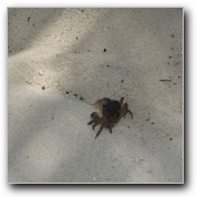 [Click to enlarge image]