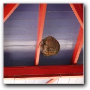 [Click to enlarge image]