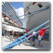 [Click to enlarge image]