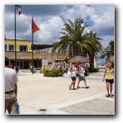 [Click to enlarge image]