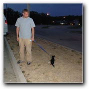 [Click to enlarge image]