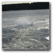 [Click to enlarge image]