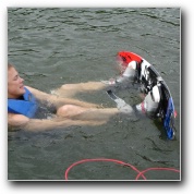 [Click to enlarge image]